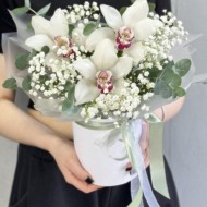 Шляпная коробка Орхи Шляпная коробка Орхи